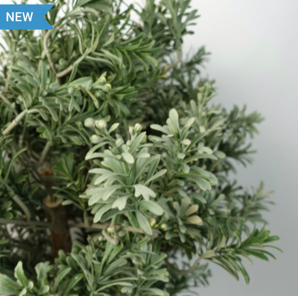 Artificial Topiary Artemisa Plant - Treesy Green