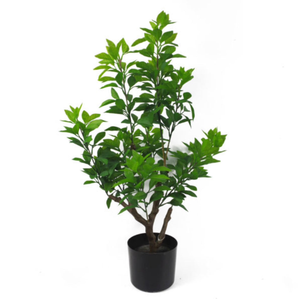 80cm Artificial Green Ficus Tree - Treesy Green