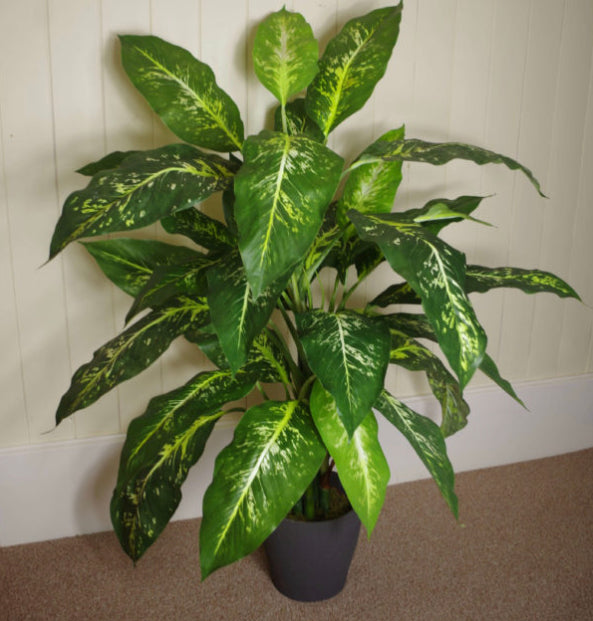 aglaonema artificiel Fox's Aglaonema (Spotted Evergreen) Tree