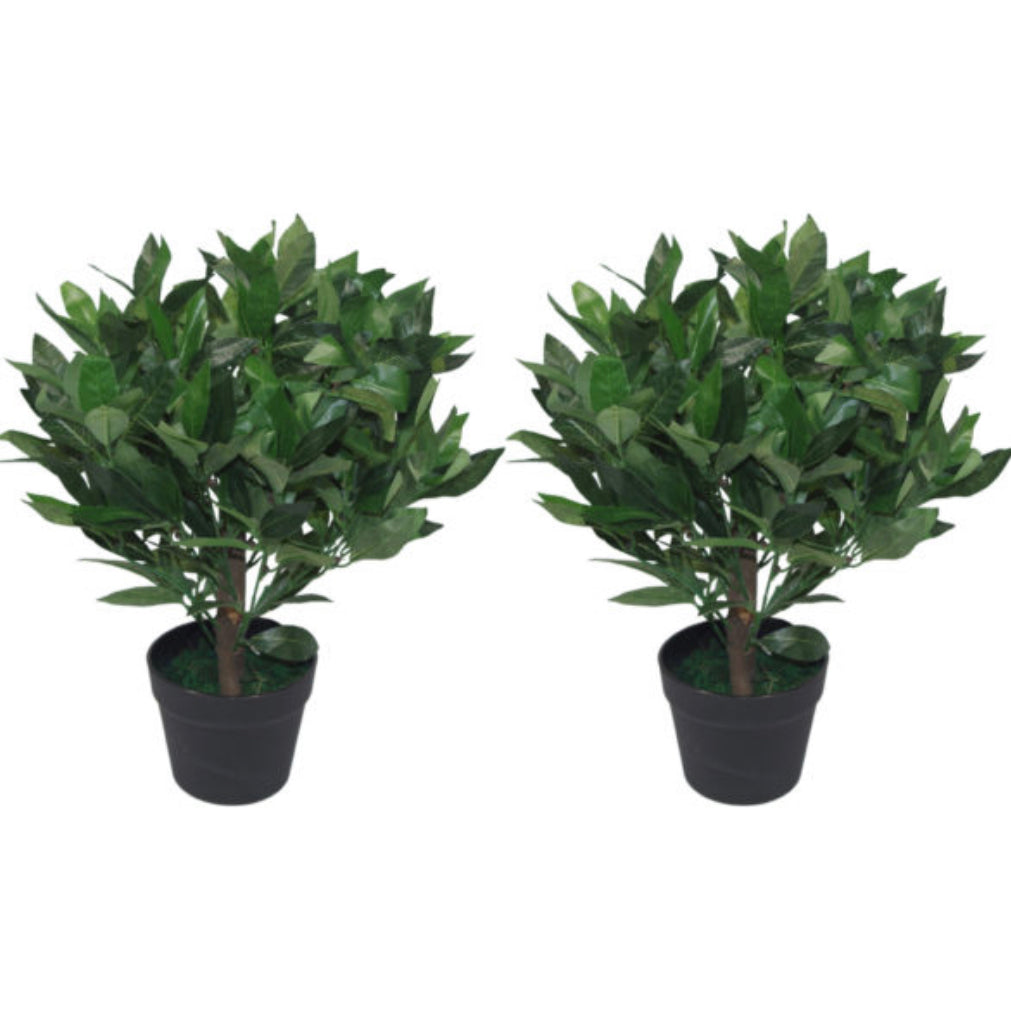 Pair of 50cm Dwarf Artificial Bay Trees Laurel Topiary Bushes - Treesy Green