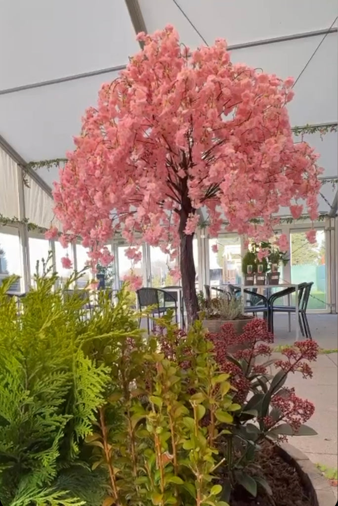 Trailing Raspberry Blossom Deluxe Pink Artificial Trailing Blossom Tree | Treesy Green