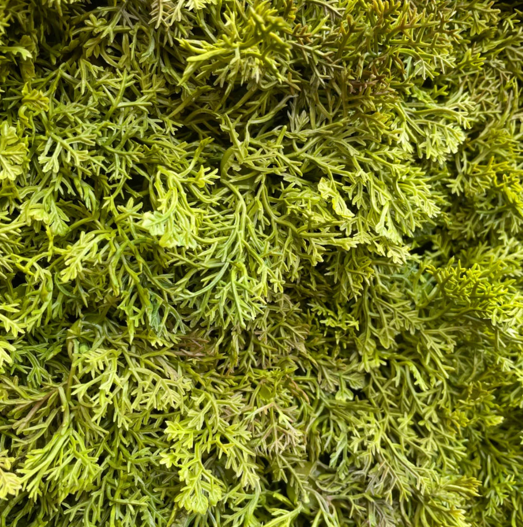 Luxury Reindeer Artificial Moss Green Wall Panel 1M x 1M - Treesy Green