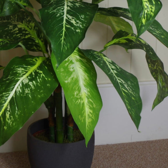 100cm Large Fox’s Aglaonema (Spotted Evergreen) Tree Artificial Plant - Treesy Green