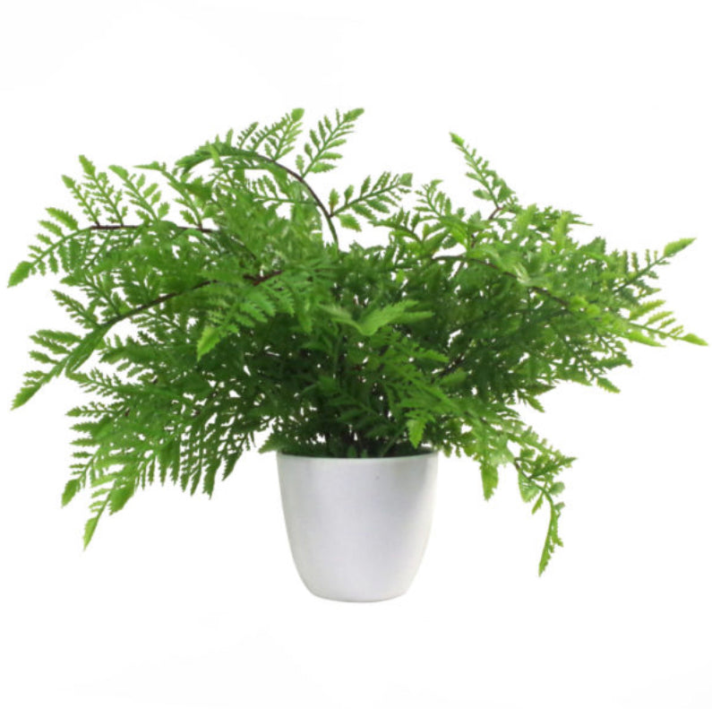30cm Artificial Potted Southern Wood Fern - Treesy Green