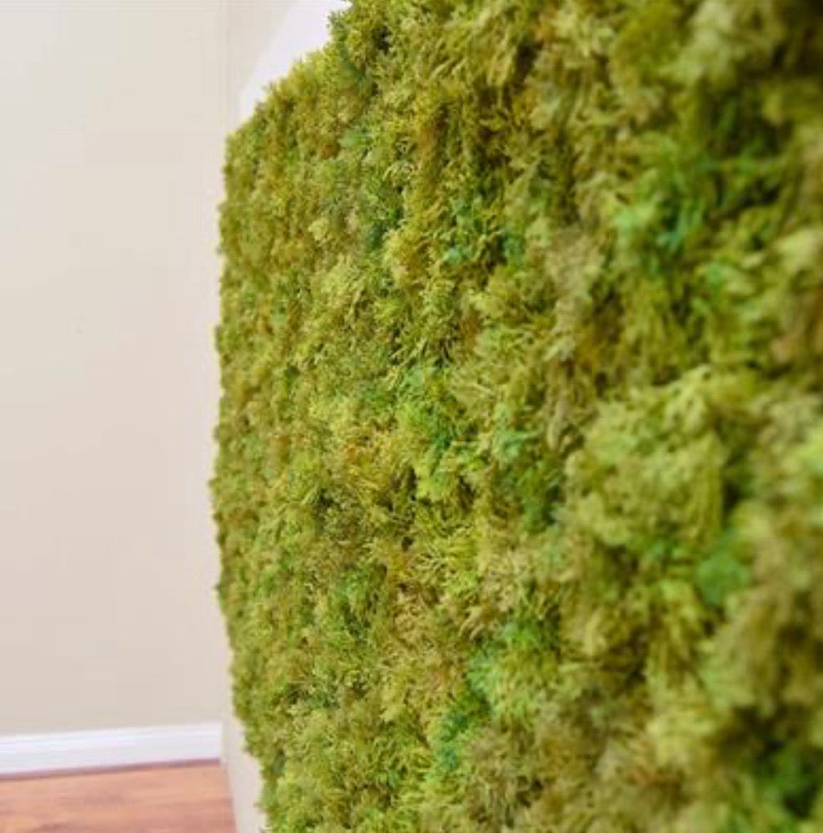 Topiary Artificial Moss Green Wall Panel 25CM x 25CM - Treesy Green
