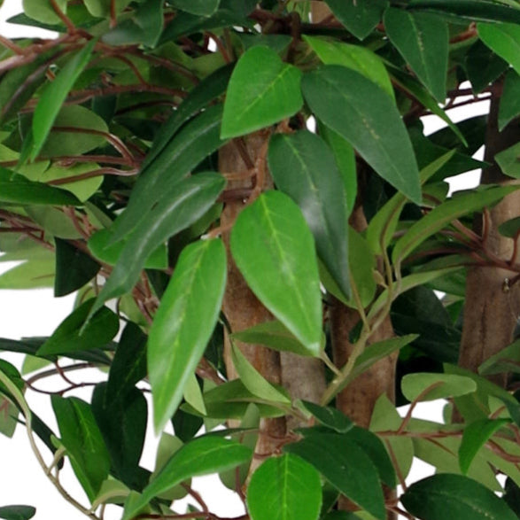 Luxury Smilax Sarsaparilla Artificial Ficus Tree 90cm - Treesy Green