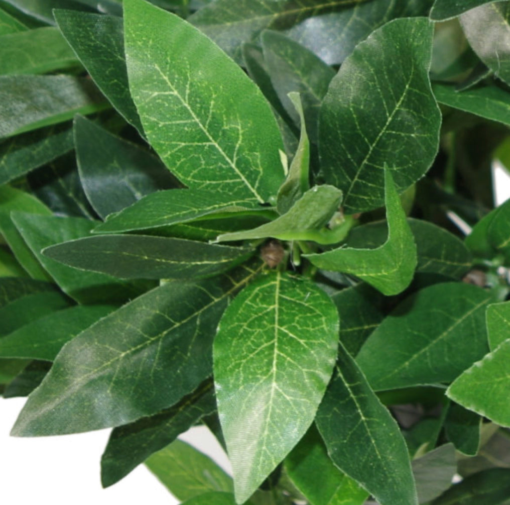 90cm (3ft) Twist Natural Trunk Artificial Topiary Bay Laurel Ball Tree - Treesy Green
