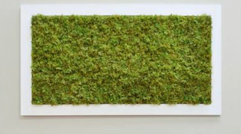Topiary Artificial Moss Green Wall Panel 25CM x 25CM - Treesy Green